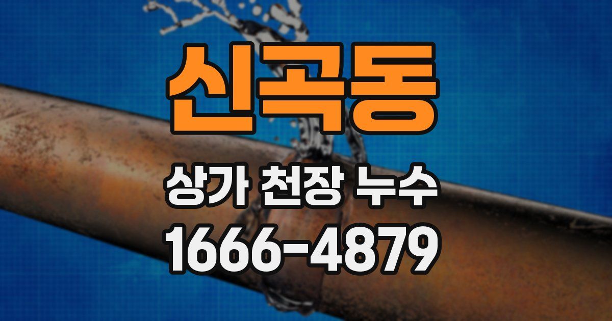 신곡동 상가 천장 누수
