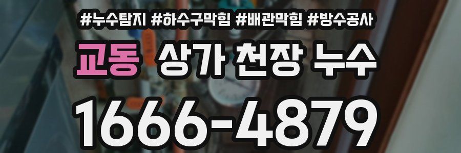 교동 상가 천장 누수