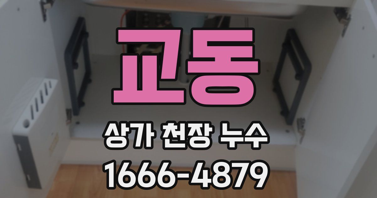 교동 상가 천장 누수