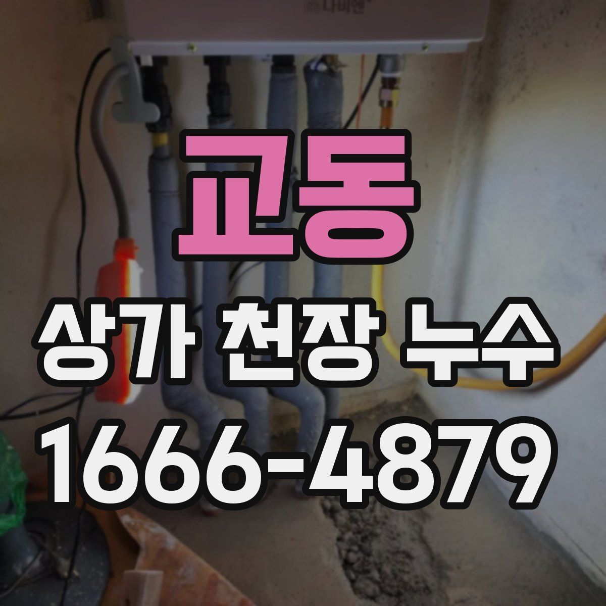 교동 상가 천장 누수