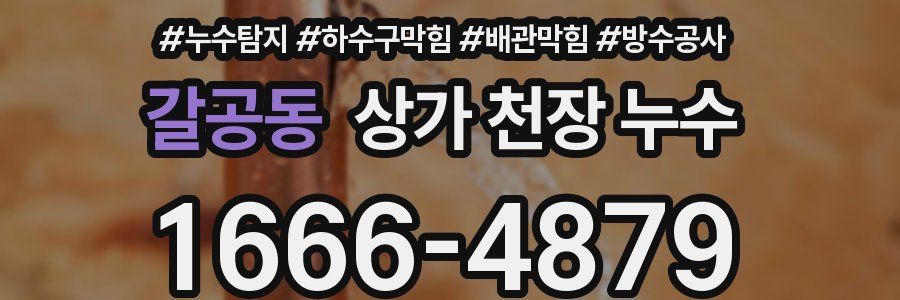 갈공동 상가 천장 누수