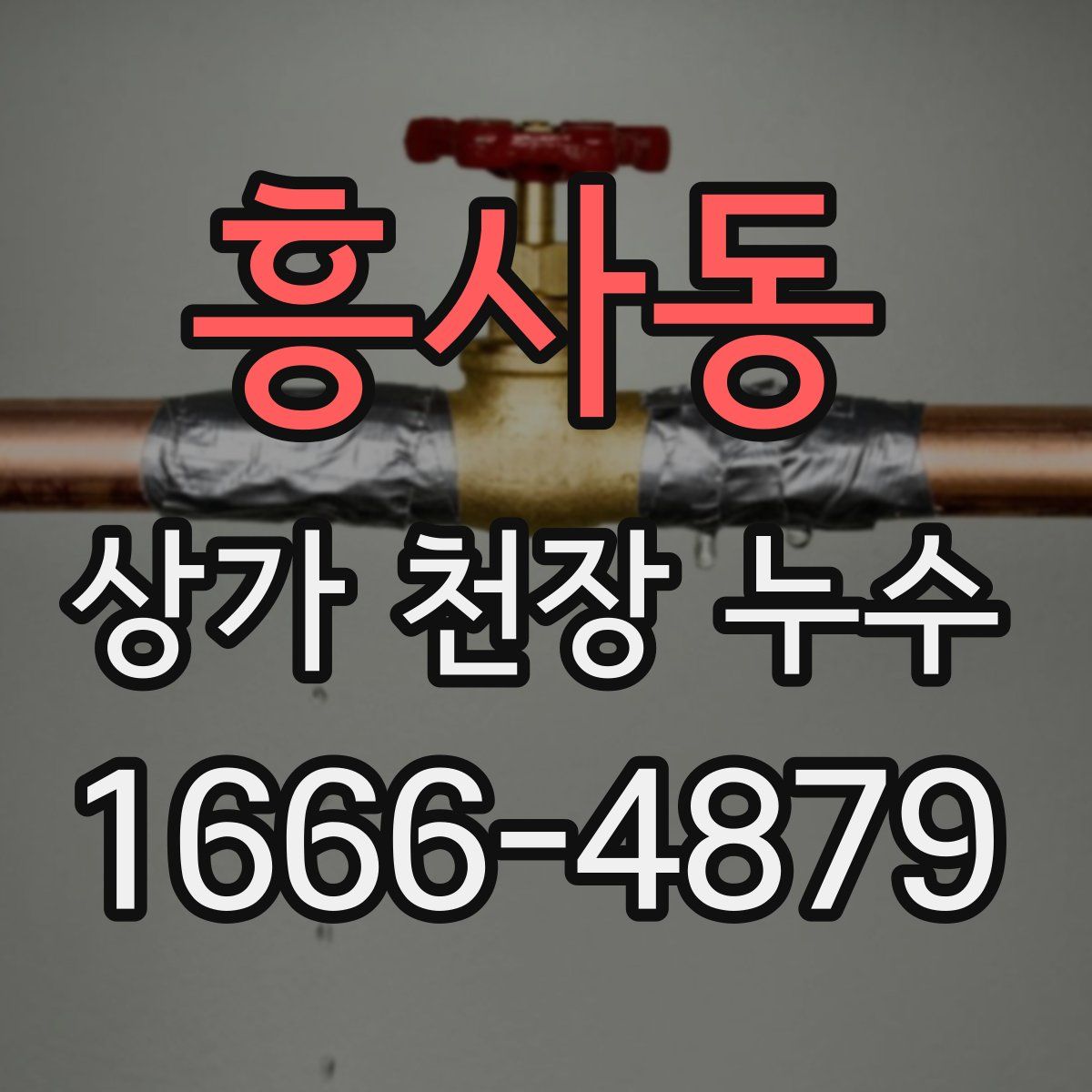 흥사동 상가 천장 누수