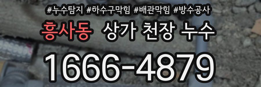 흥사동 상가 천장 누수