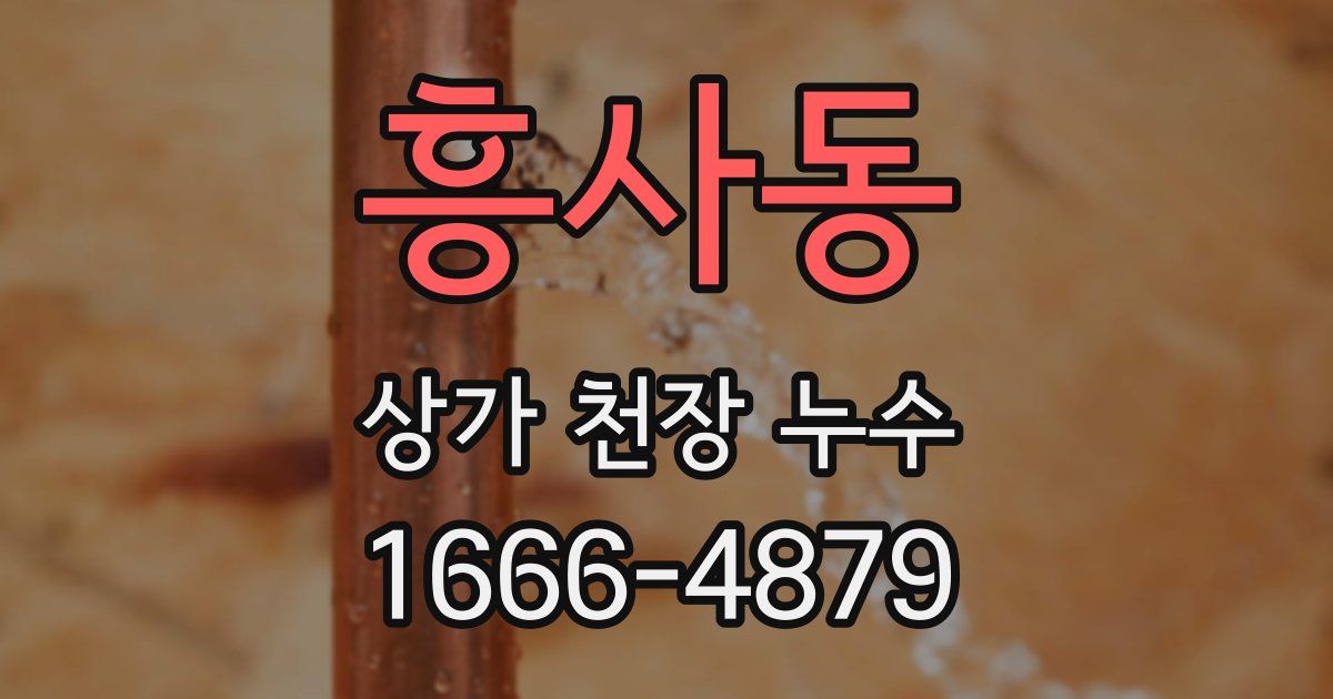 흥사동 상가 천장 누수