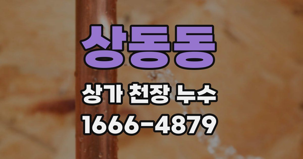 상동동 상가 천장 누수