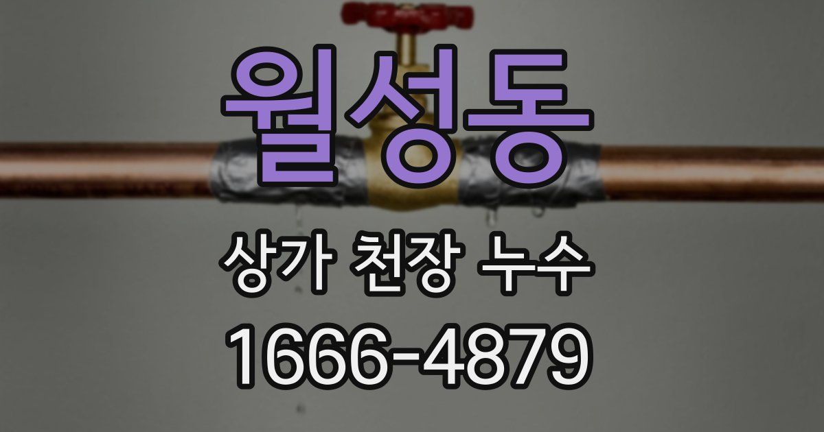 월성동 상가 천장 누수