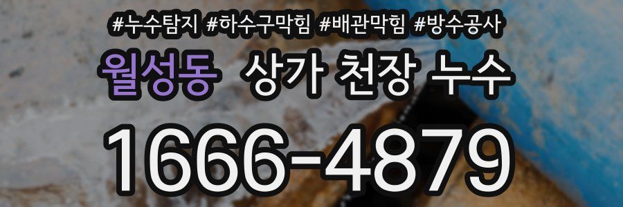 월성동 상가 천장 누수