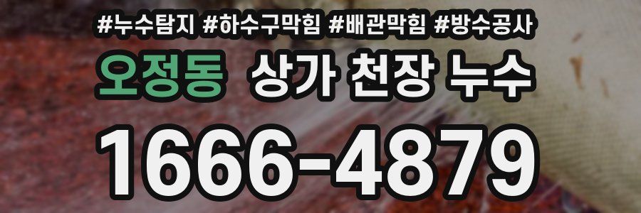 오정동 상가 천장 누수