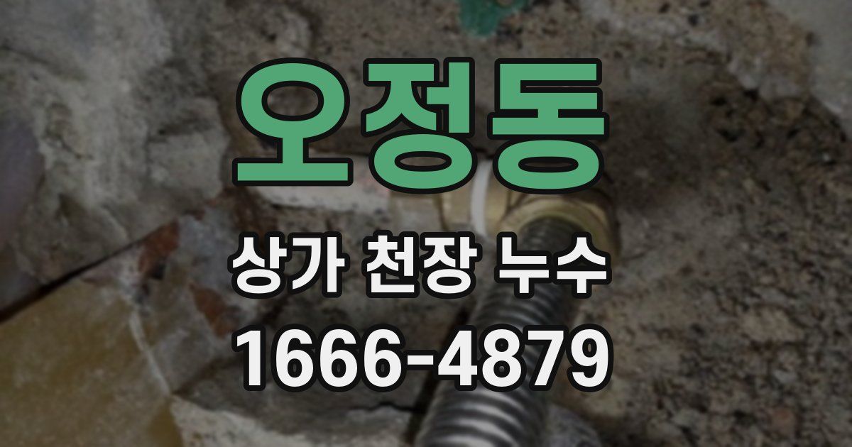 오정동 상가 천장 누수