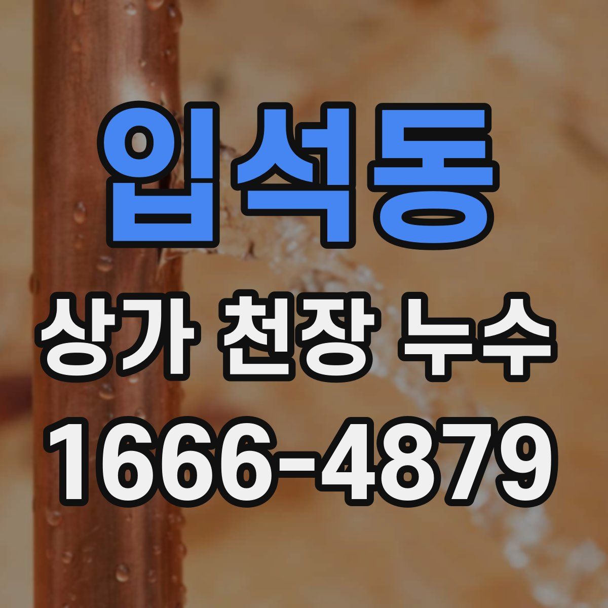 입석동 상가 천장 누수