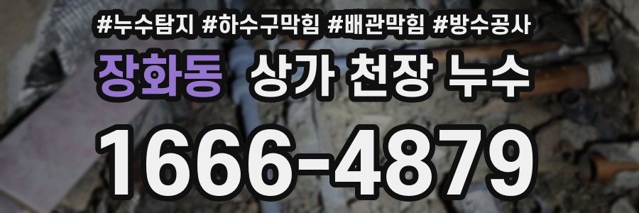 장화동 상가 천장 누수