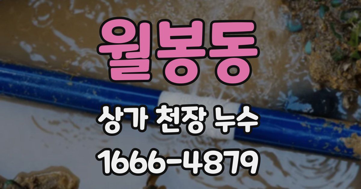 월봉동 상가 천장 누수