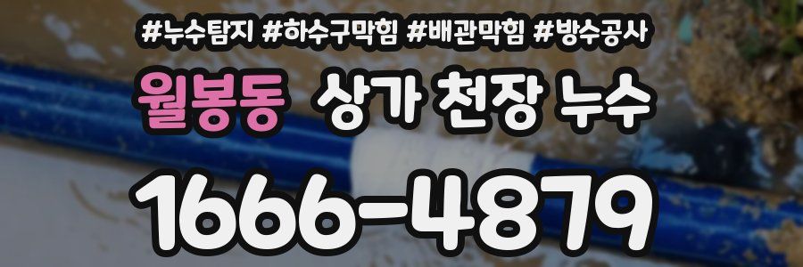 월봉동 상가 천장 누수