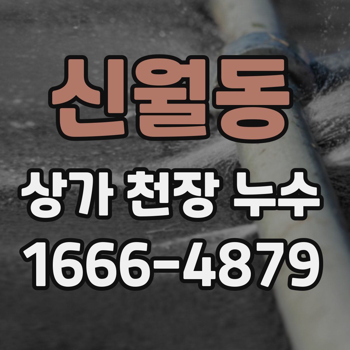 신월동 상가 천장 누수