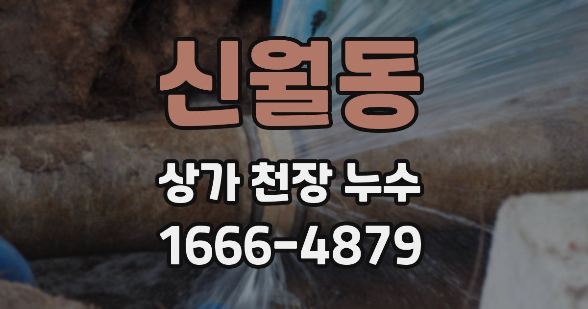 신월동 상가 천장 누수