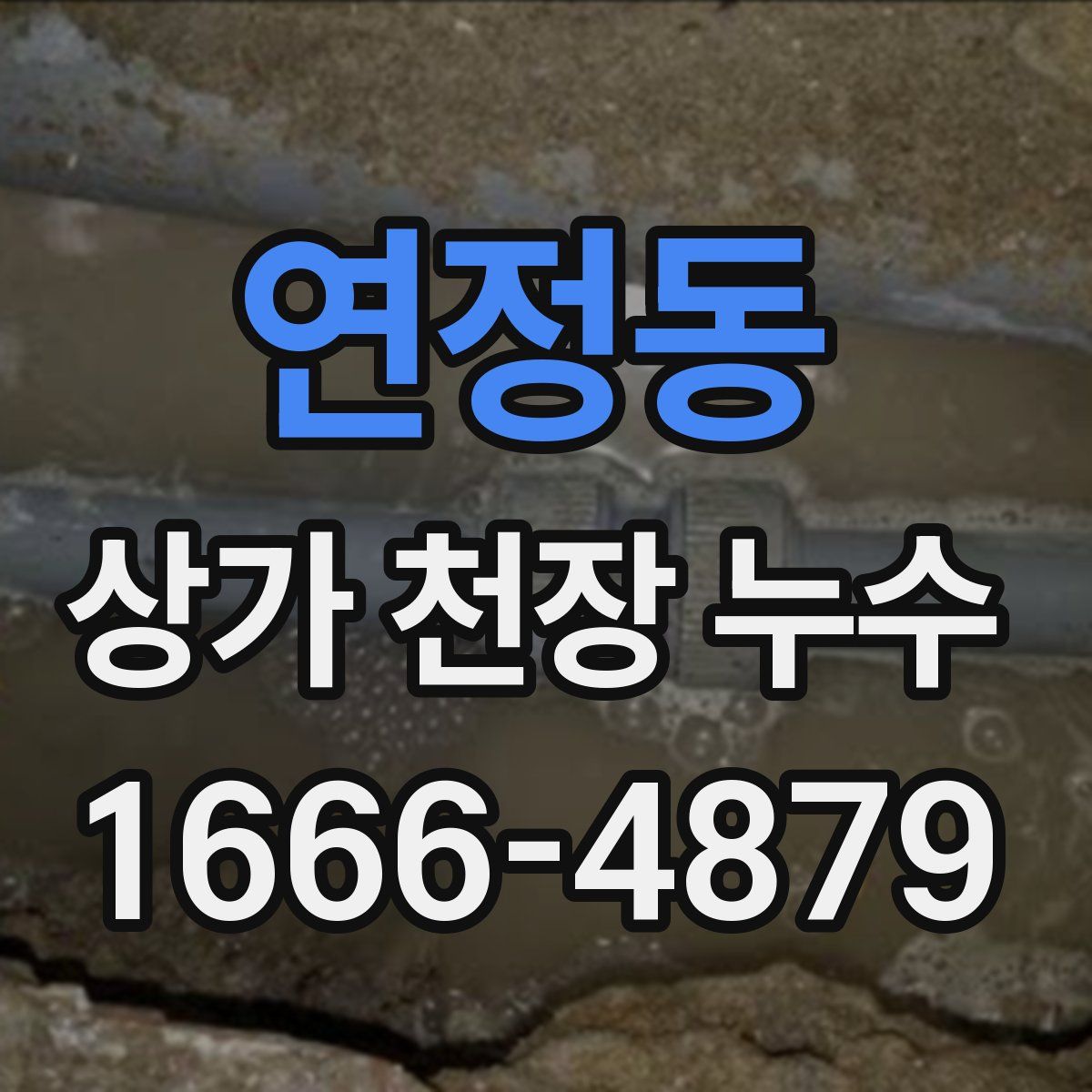연정동 상가 천장 누수