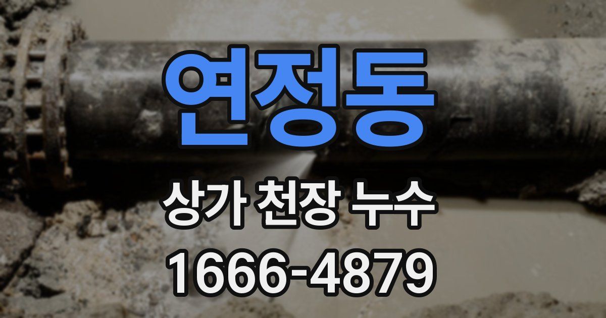 연정동 상가 천장 누수