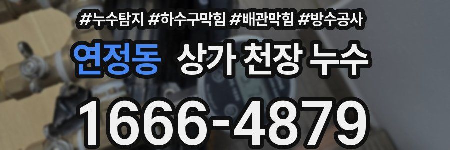 연정동 상가 천장 누수