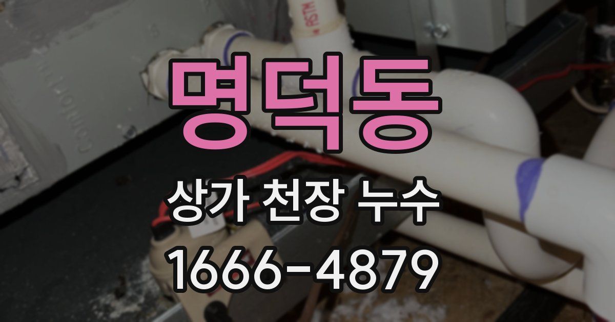 명덕동 상가 천장 누수