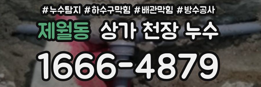 제월동 상가 천장 누수