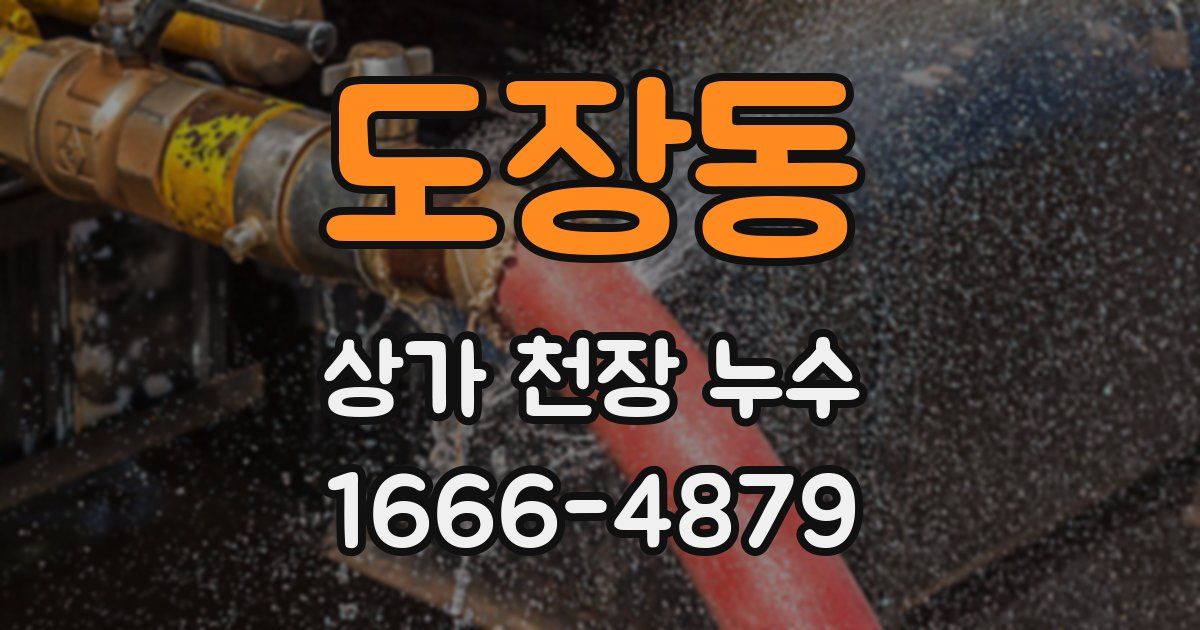 도장동 상가 천장 누수