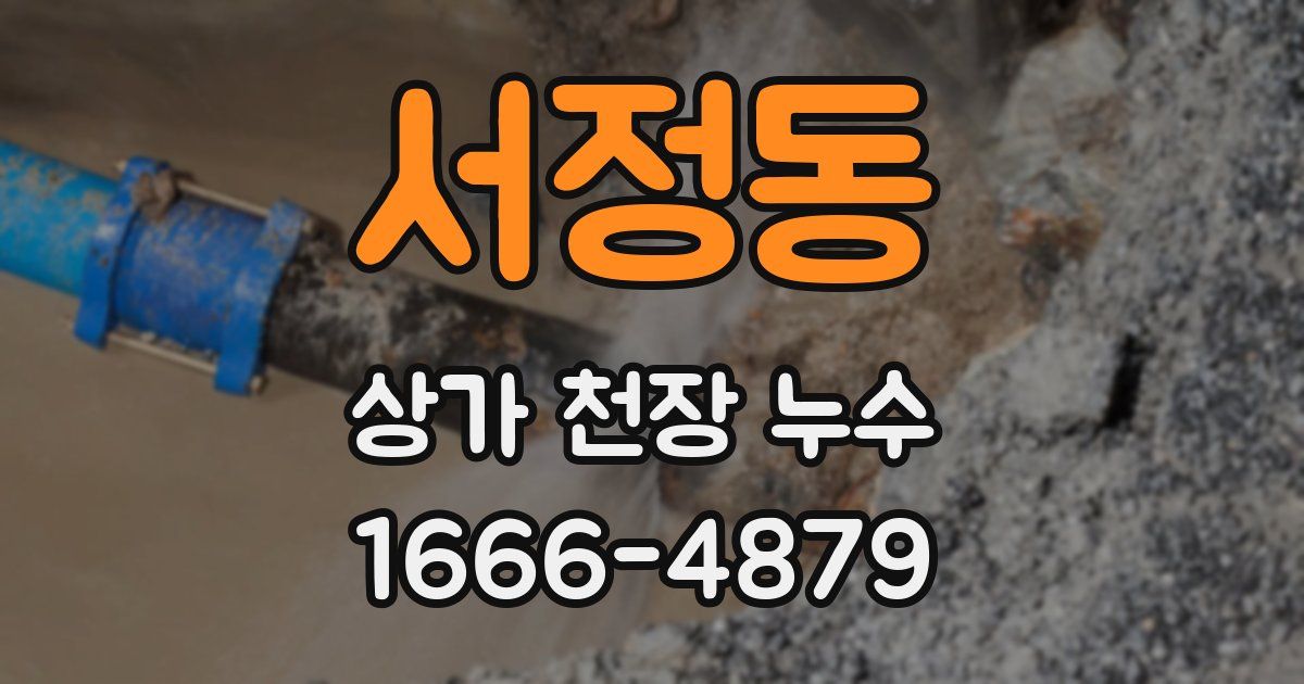 서정동 상가 천장 누수