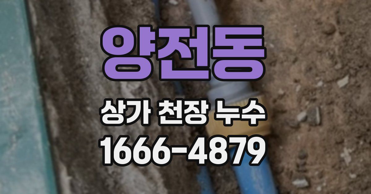 양전동 상가 천장 누수