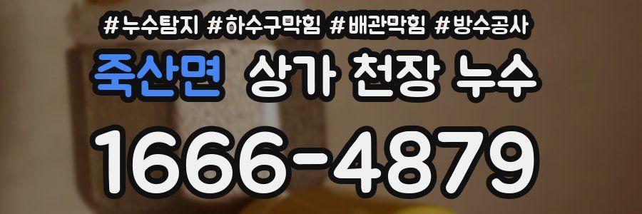 죽산면 상가 천장 누수