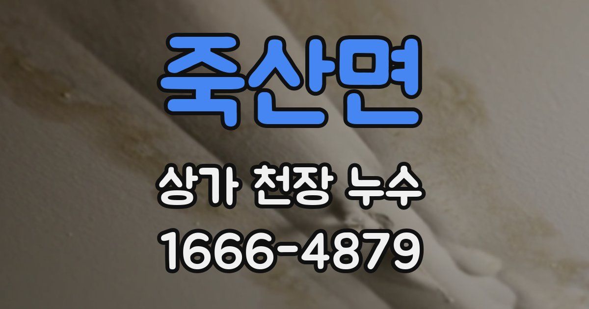 죽산면 상가 천장 누수