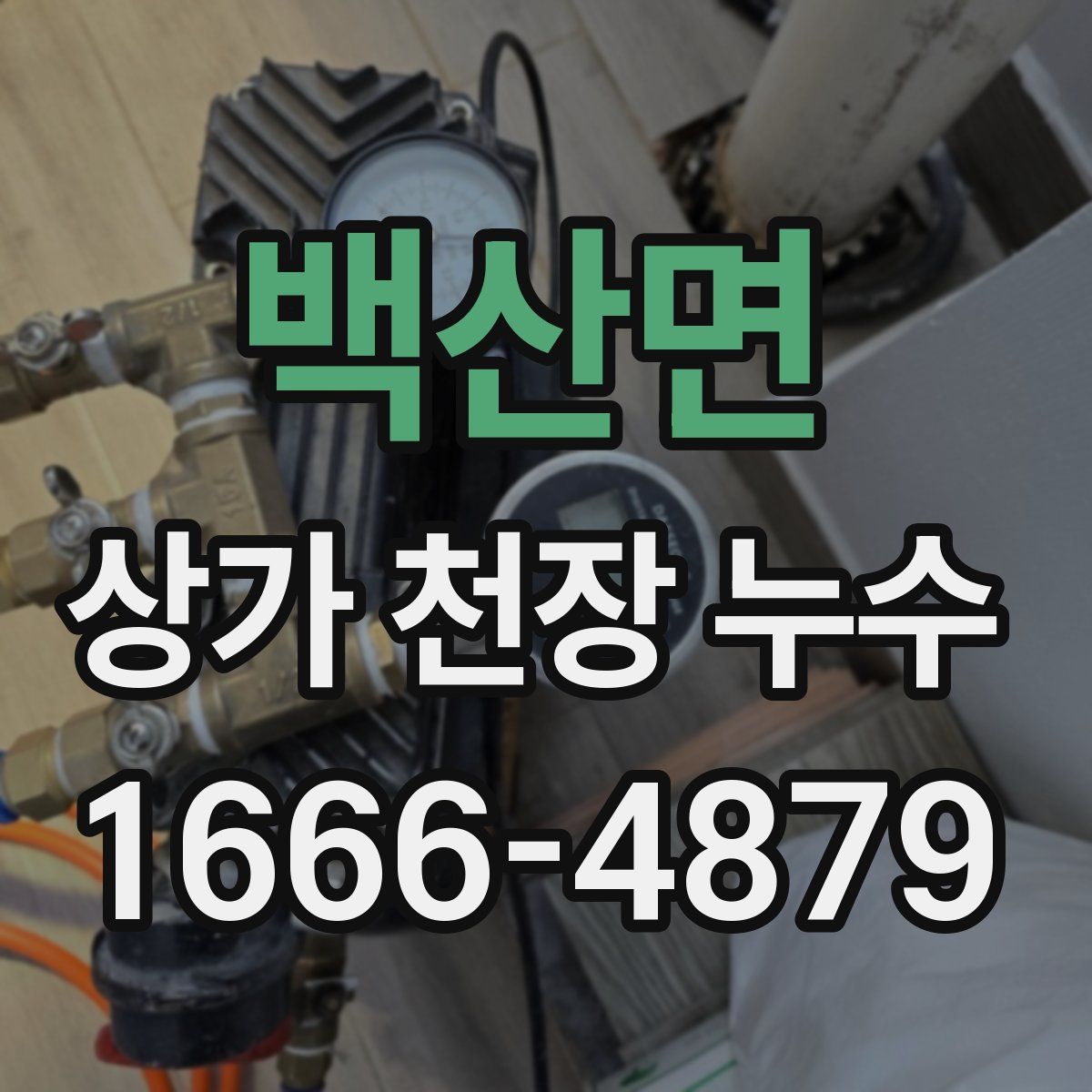 백산면 상가 천장 누수