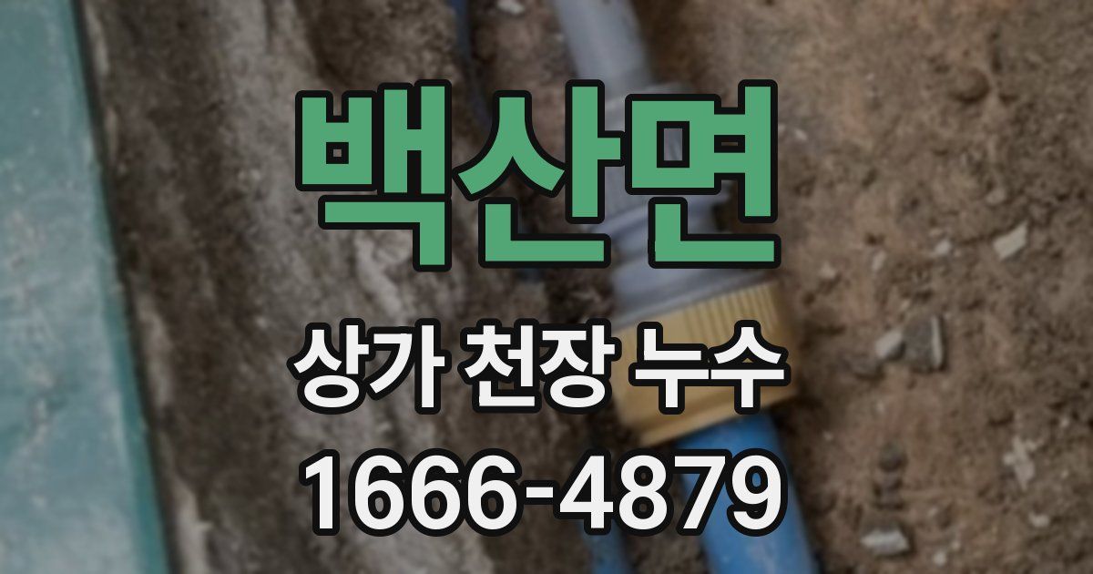 백산면 상가 천장 누수