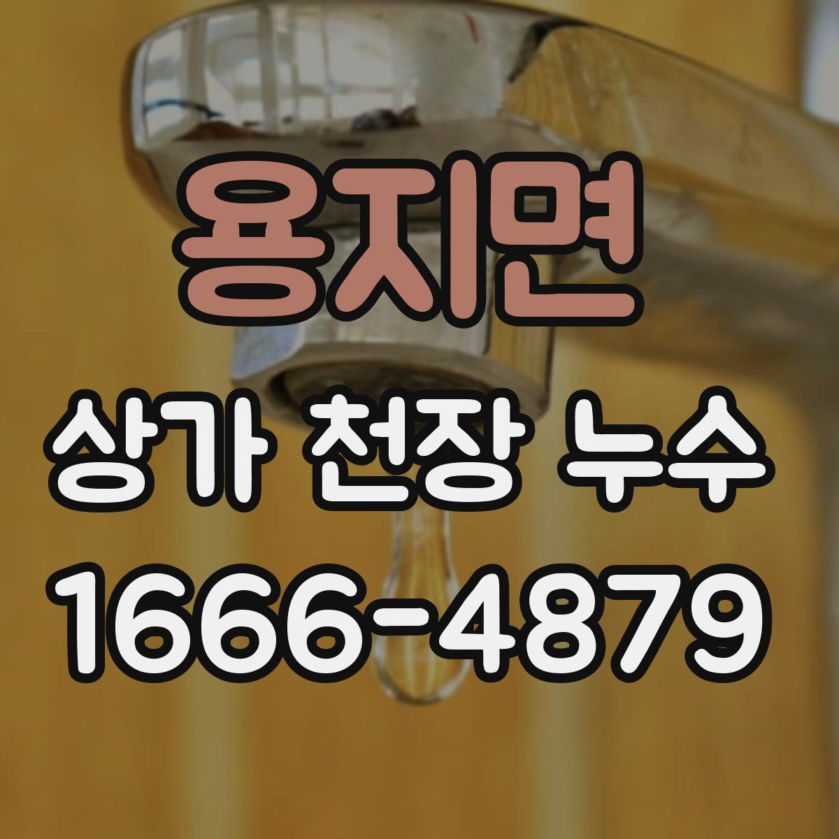 용지면 상가 천장 누수