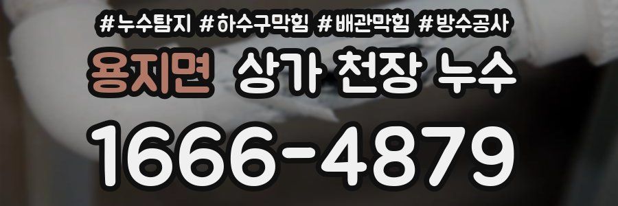 용지면 상가 천장 누수
