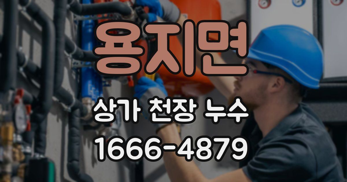 용지면 상가 천장 누수