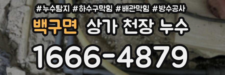 백구면 상가 천장 누수