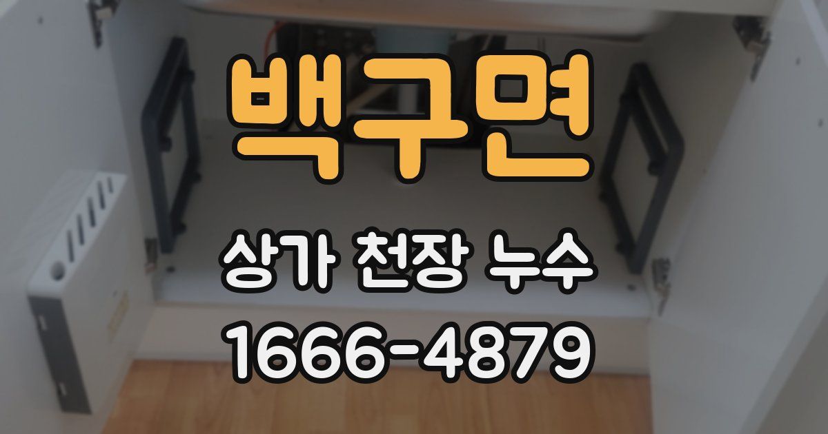 백구면 상가 천장 누수
