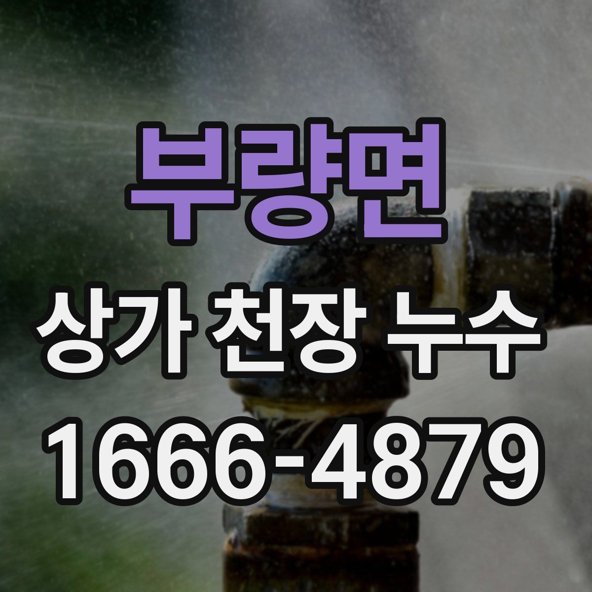 부량면 상가 천장 누수