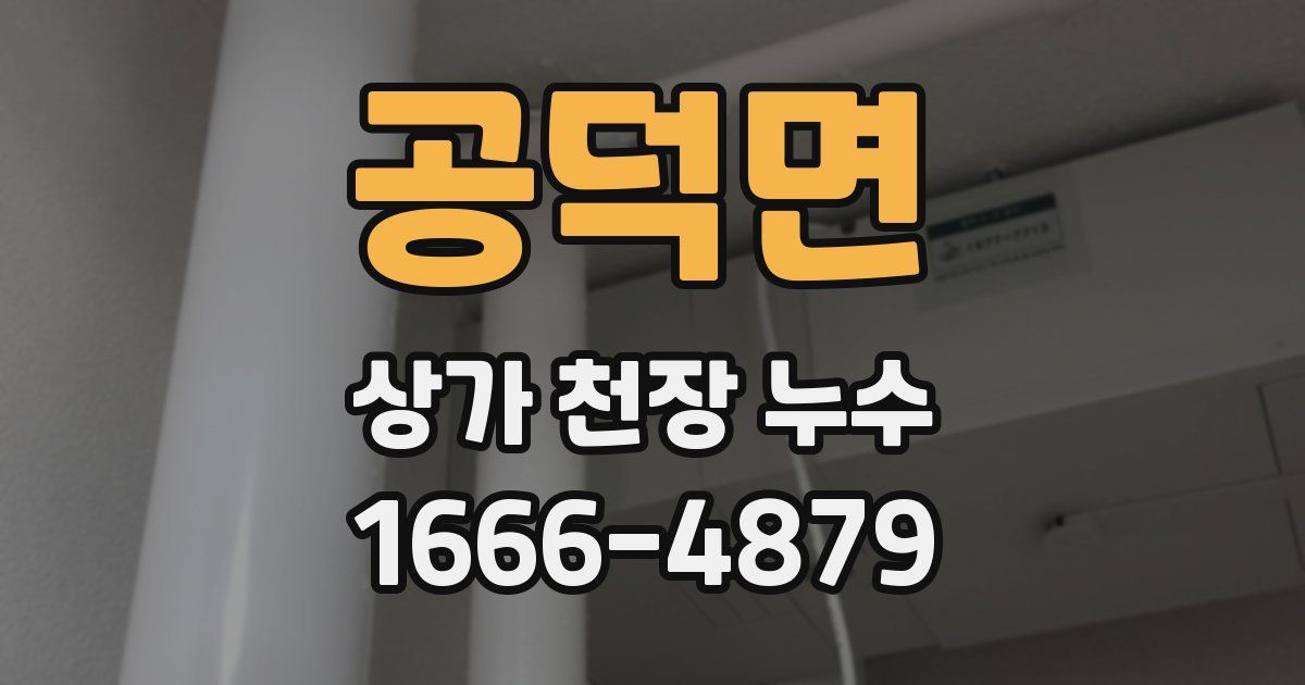 공덕면 상가 천장 누수