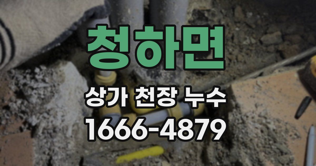 청하면 상가 천장 누수