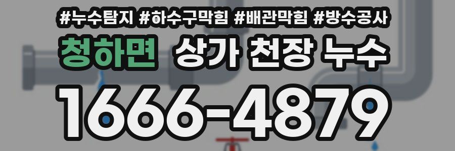 청하면 상가 천장 누수