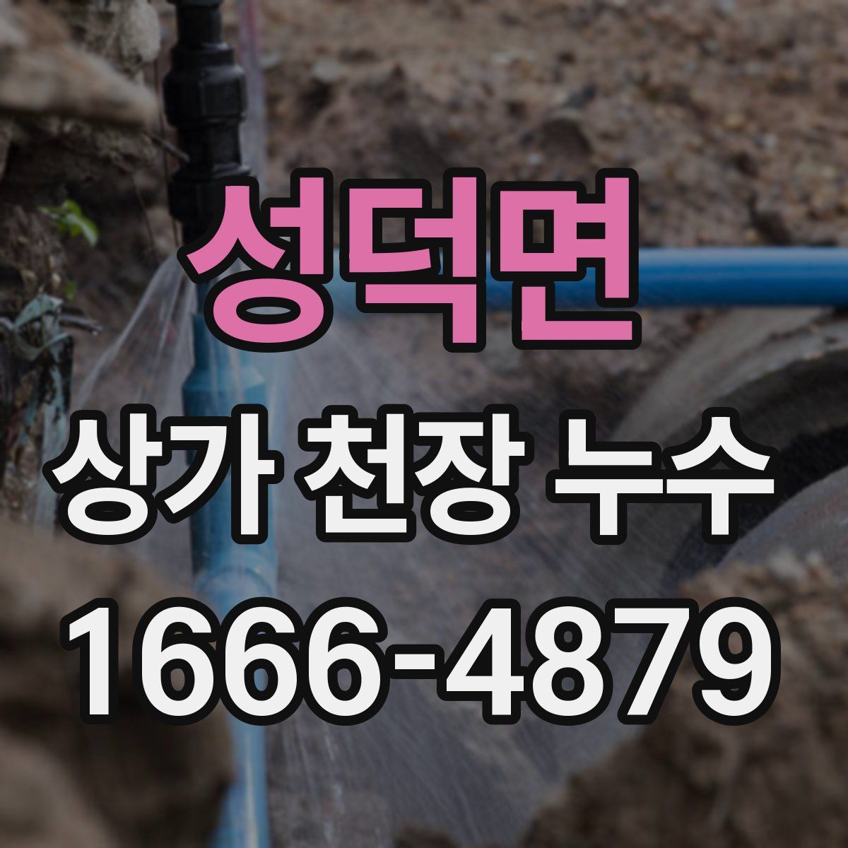 성덕면 상가 천장 누수