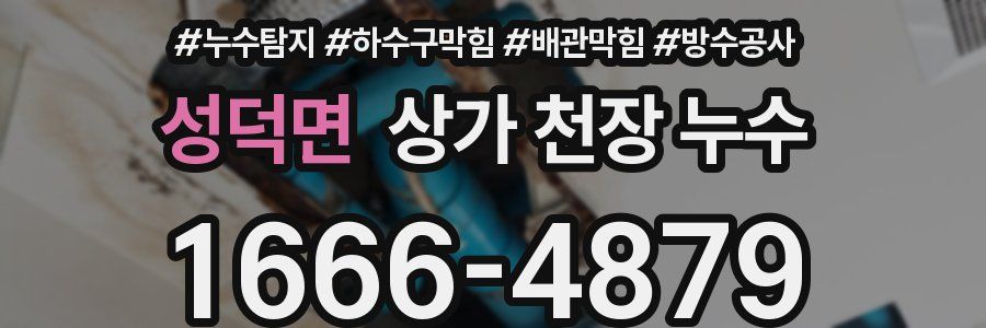 성덕면 상가 천장 누수