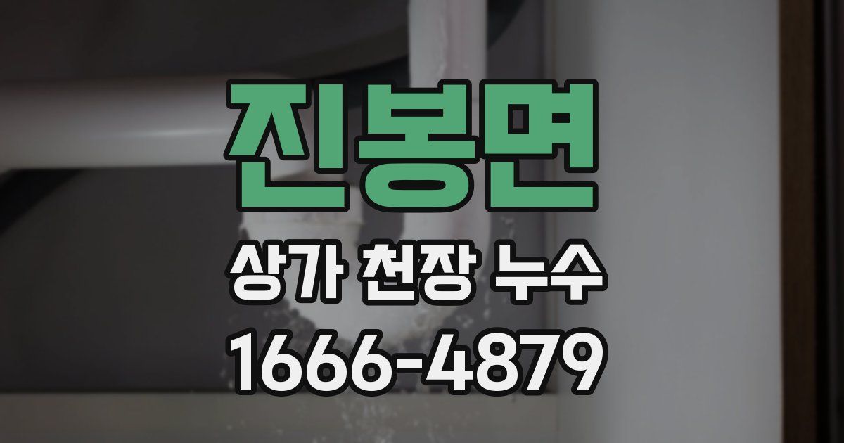 진봉면 상가 천장 누수