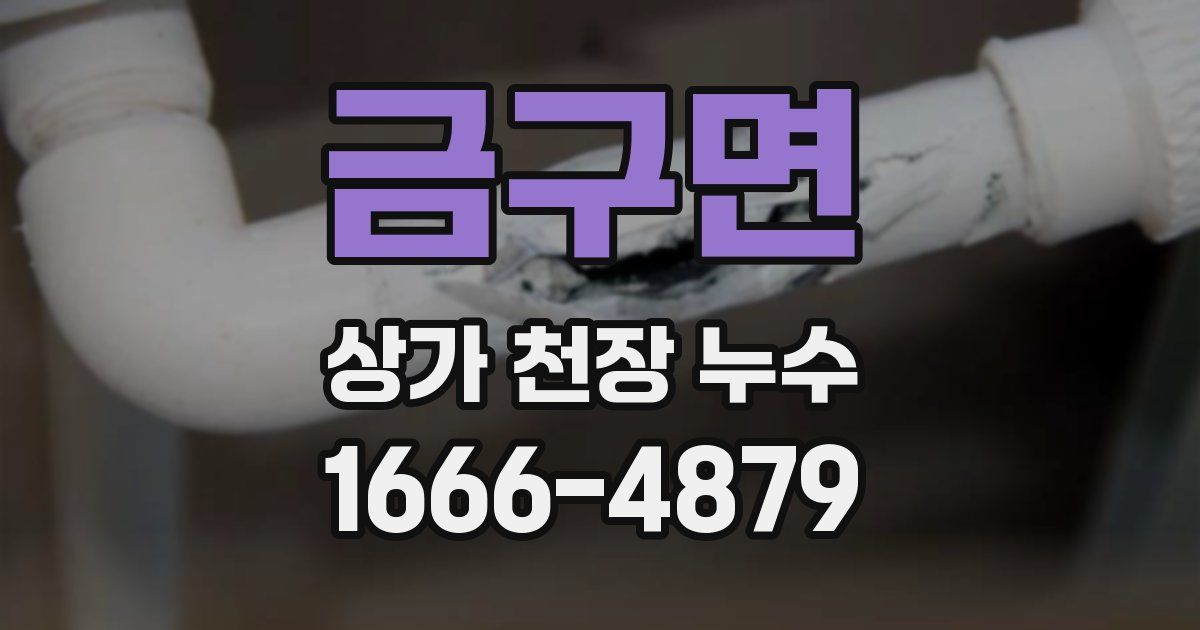 금구면 상가 천장 누수