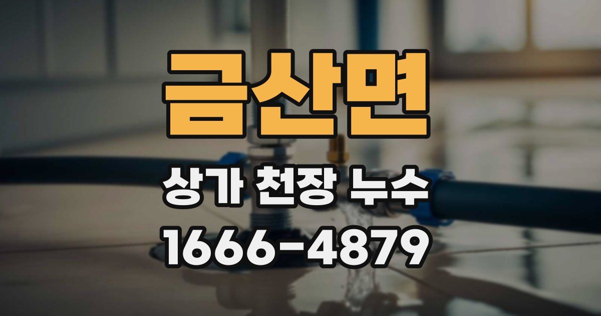 금산면 상가 천장 누수