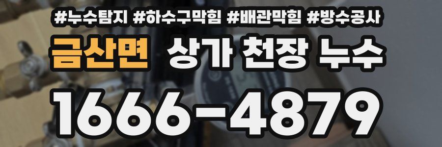 금산면 상가 천장 누수