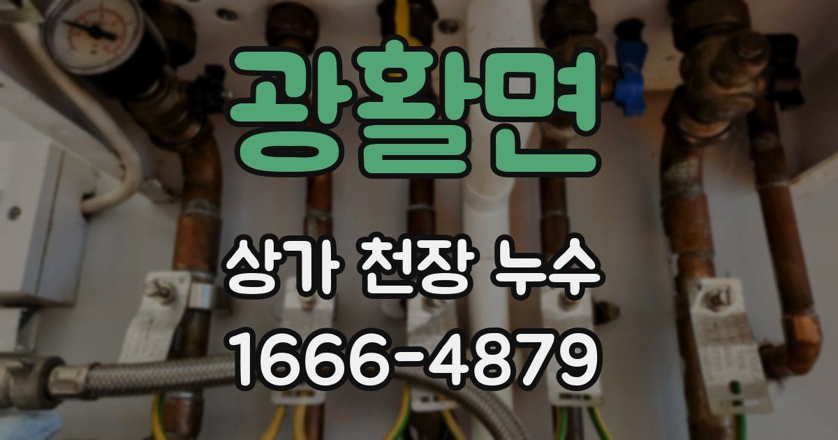광활면 상가 천장 누수