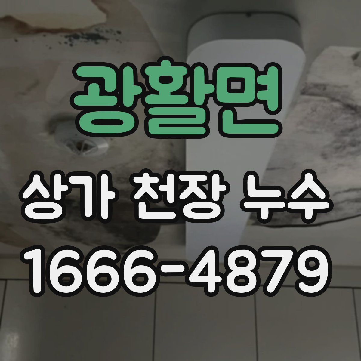 광활면 상가 천장 누수