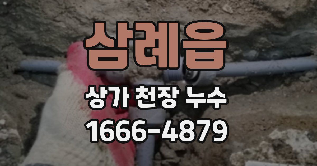 삼례읍 상가 천장 누수