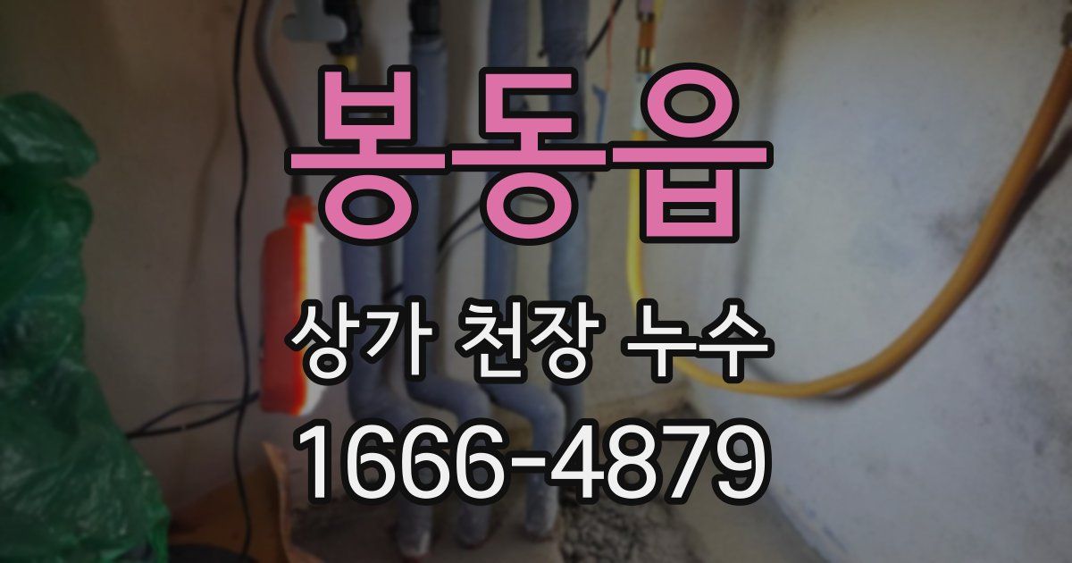 봉동읍 상가 천장 누수